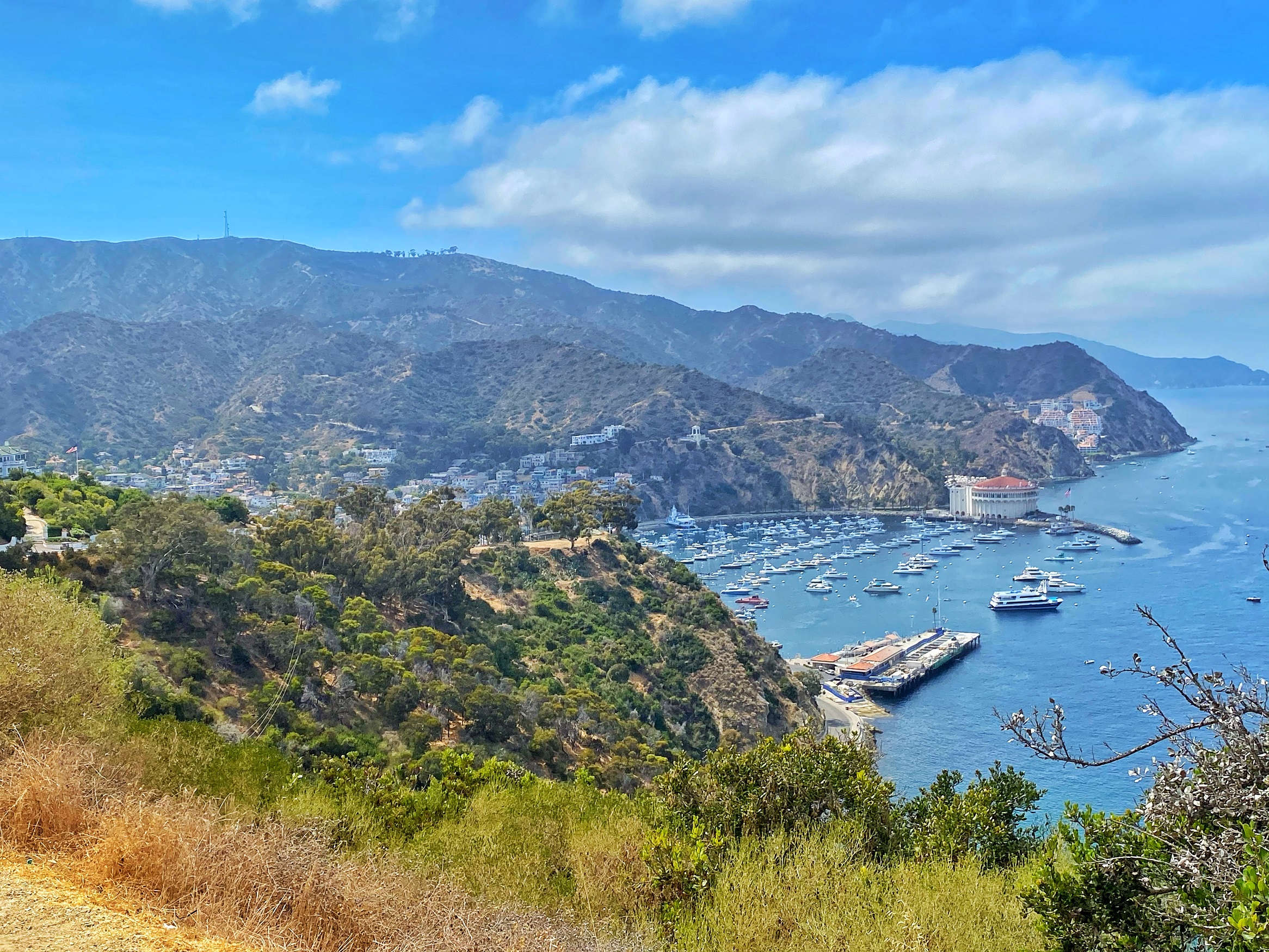 Things To Do With Kids On Catalina Island | SoCalFunFamily